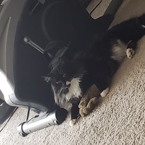 Meet your Posher, Anna